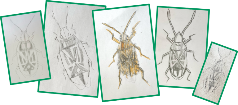 Artenkenntnis mit Stift und Neugier fördern
