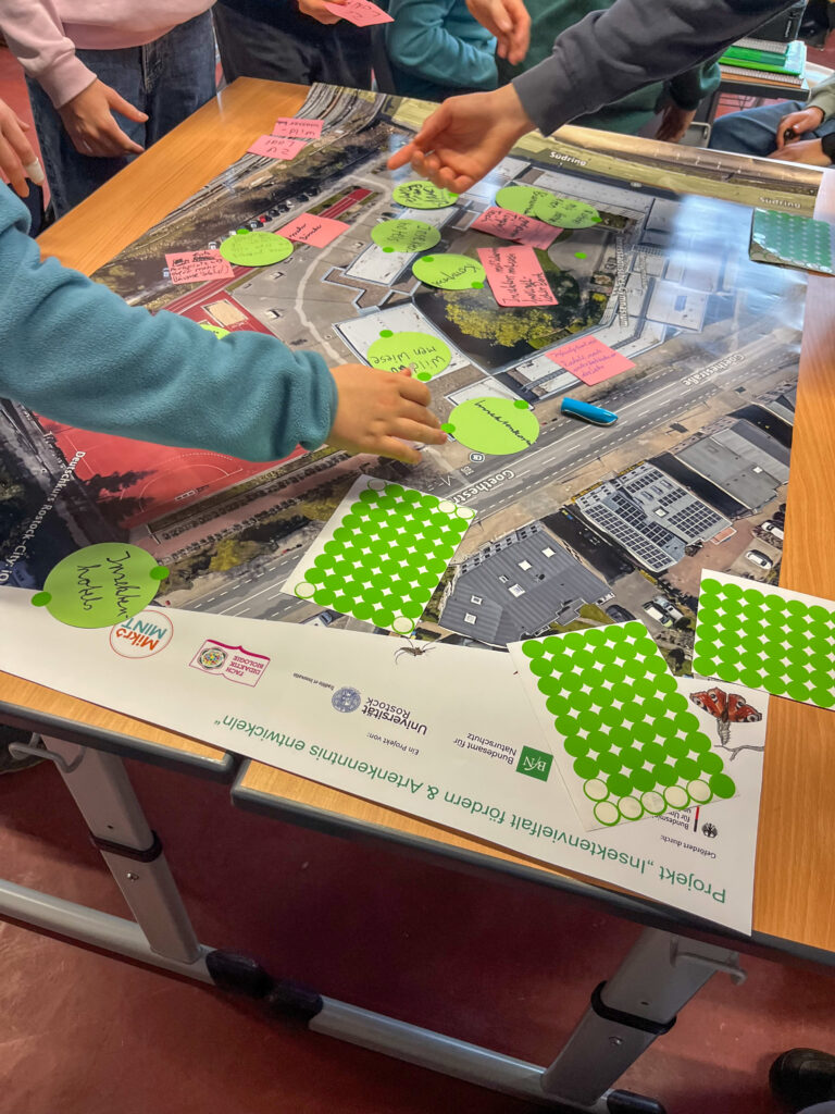 Workshop II: Unser Konzept für insektenfreundliche Schulhof-Umgestaltung