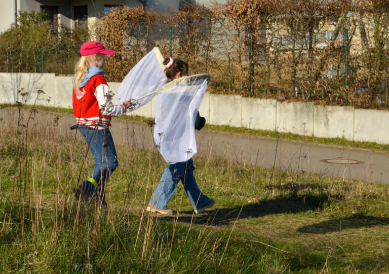 Ein Lernort im Wandel – Unsere Treffen auf der NABU-Blühwiese